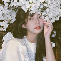海鸥NPV加速器iOS版用户LISA,很满意海鸥NPV加速器iOS版